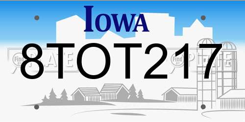 8TOT217 Iowa License Plate