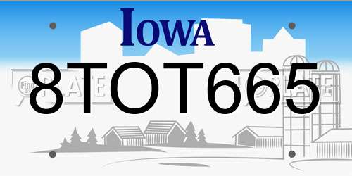 8TOT665 Iowa License Plate