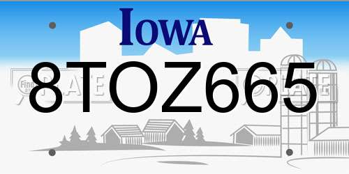 8TOZ665 Iowa License Plate