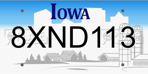 8XND113 Iowa License Plate