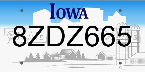 8ZDZ665 Iowa License Plate