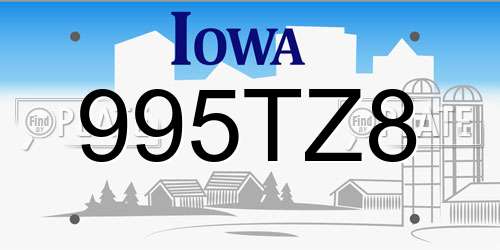 995TZ8 Iowa License Plate