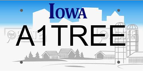 A1TREE Iowa License Plate