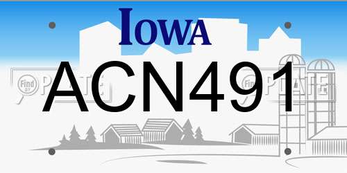 ACN491 Iowa License Plate