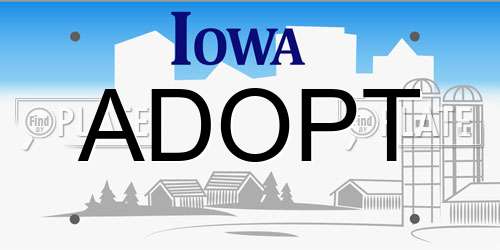 ADOPT Iowa License Plate