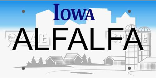 ALFALFA Iowa License Plate