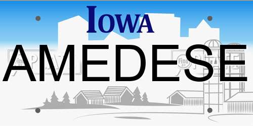 AMEDESE Iowa License Plate