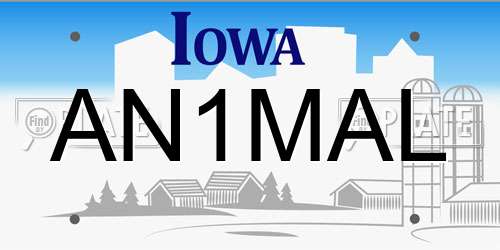 AN1MAL Iowa License Plate