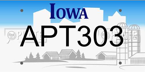 APT303 Iowa License Plate