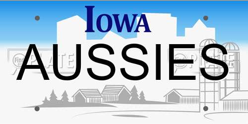AUSSIES Iowa License Plate