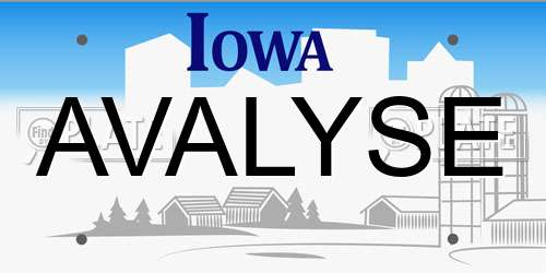 AVALYSE Iowa License Plate