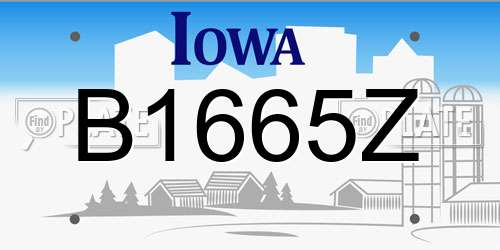 B1665Z Iowa License Plate