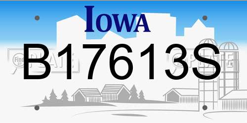 B17613S Iowa License Plate