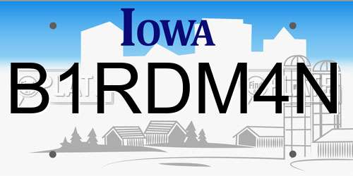 B1RDM4N Iowa License Plate