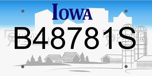 B48781S Iowa License Plate