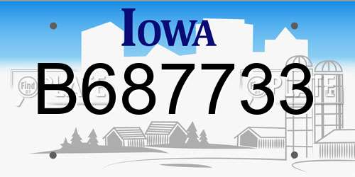 B687733 Iowa License Plate