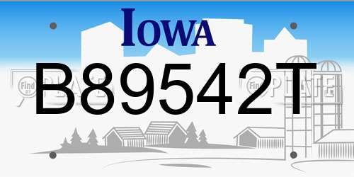 B89542T Iowa License Plate