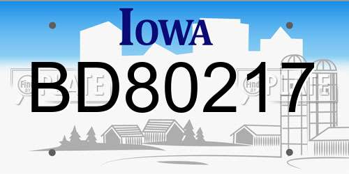 BD80217 Iowa License Plate