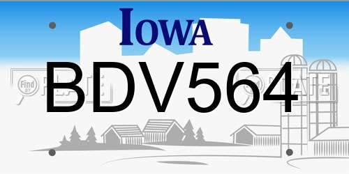 BDV564 Iowa License Plate