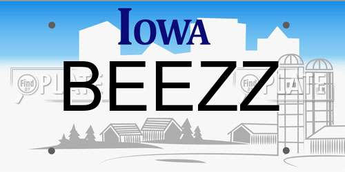 BEEZZ Iowa License Plate