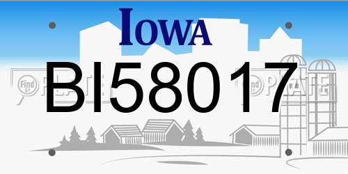 BI58017 Iowa License Plate