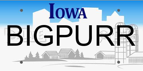 BIGPURR Iowa License Plate