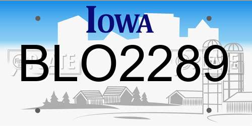 BLO2289 Iowa License Plate