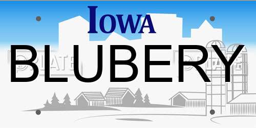 BLUBERY Iowa License Plate