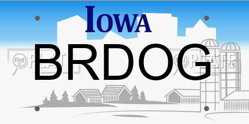 BRDOG Iowa License Plate
