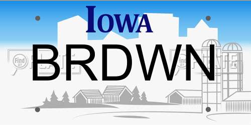 BRDWN Iowa License Plate