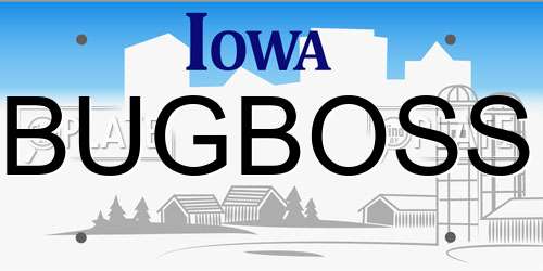 BUGBOSS Iowa License Plate