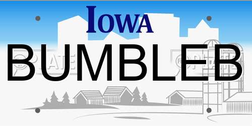 BUMBLEB Iowa License Plate