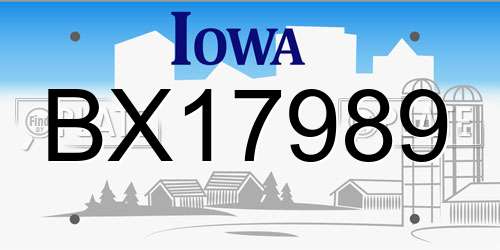 BX17989 Iowa License Plate