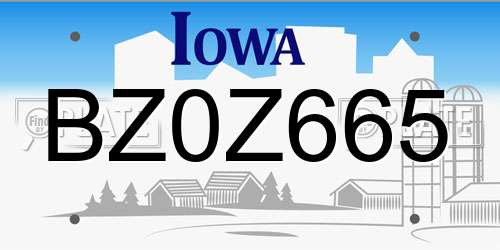 BZ0Z665 Iowa License Plate