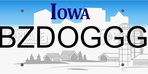 BZDOGGG Iowa License Plate