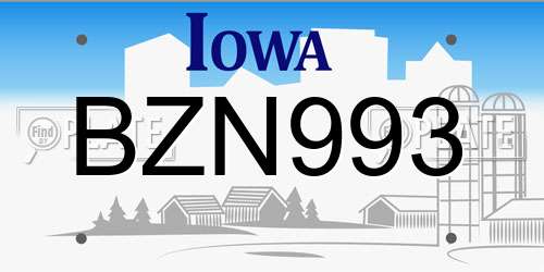 BZN993 Iowa License Plate