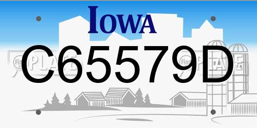 C65579D Iowa License Plate