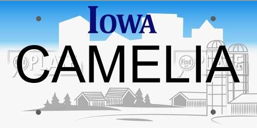 CAMELIA Iowa License Plate