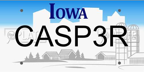 CASP3R Iowa License Plate