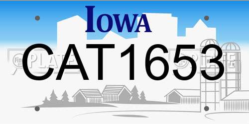 CAT1653 Iowa License Plate