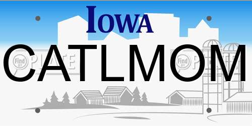 CATLMOM Iowa License Plate