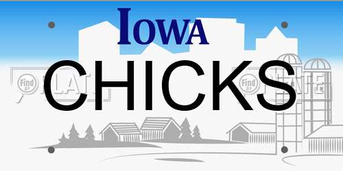 CHICKS Iowa License Plate