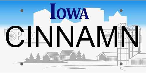 CINNAMN Iowa License Plate