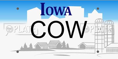 COW Iowa License Plate