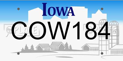 COW184 Iowa License Plate