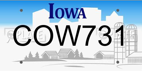 COW731 Iowa License Plate