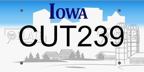 CUT239 Iowa License Plate