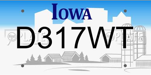 D317WT Iowa License Plate
