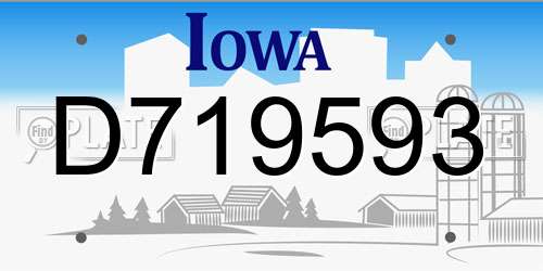 D719593 Iowa License Plate