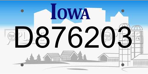 D876203 Iowa License Plate